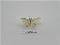 藏品(尺蛾379)的圖片